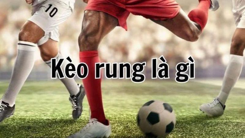 Khái Niệm Cơ Bản Tài Xỉu Rung Là Gì